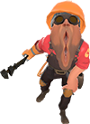 Vagineer