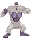 yeti